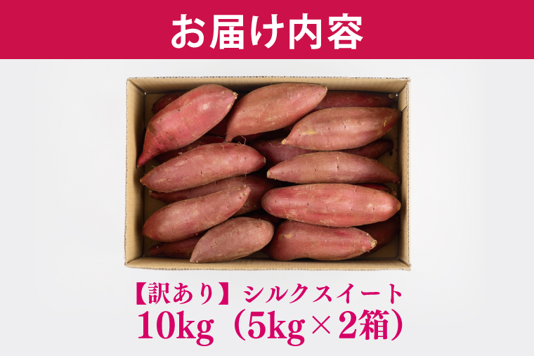 ★緊急支援品★【2026年4月下旬より順次発送】訳あり 無選別 行方台地のさつまいも 熟成シルクスイート 約10kg｜さつまいも 芋 サツマイモ シルクスイート 訳あり わけあり 無選別 茨城県 行方市(CU-85-6)