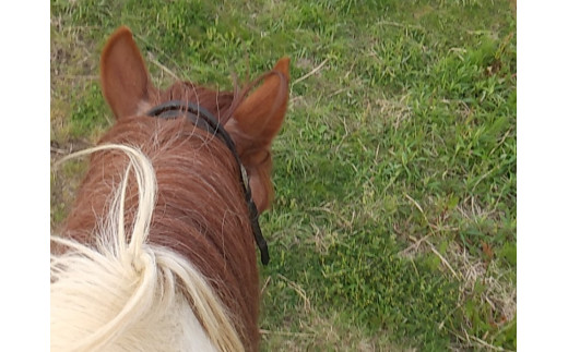 CV-5 ポニーに乗ってお散歩。中級者乗馬（約60分間／1名様）