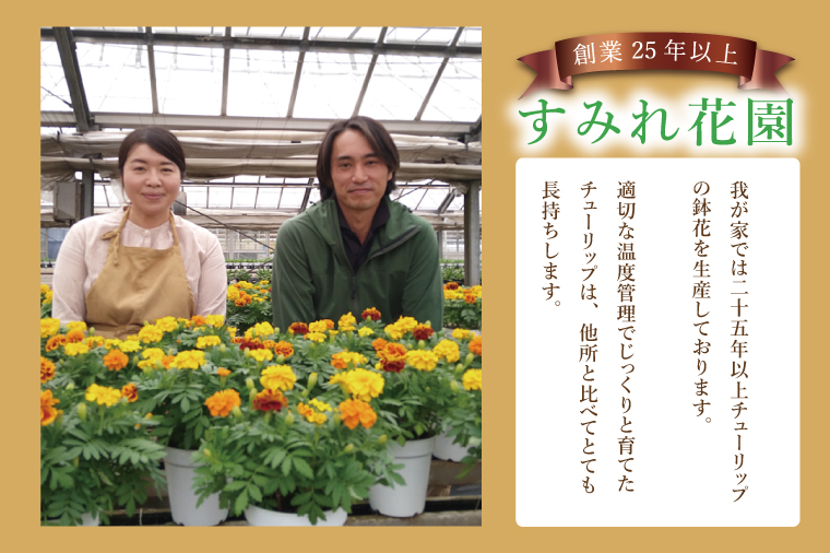 行方市の花農家「すみれ花園」季節の寄せ植えワークショップ(8号サイズ鉢)｜花 お花 季節の花 ワークショップ 体験 体験チケット ラーケーション ガーデンセラピー 寄せ植え 茨城県 行方市(EH-30)
