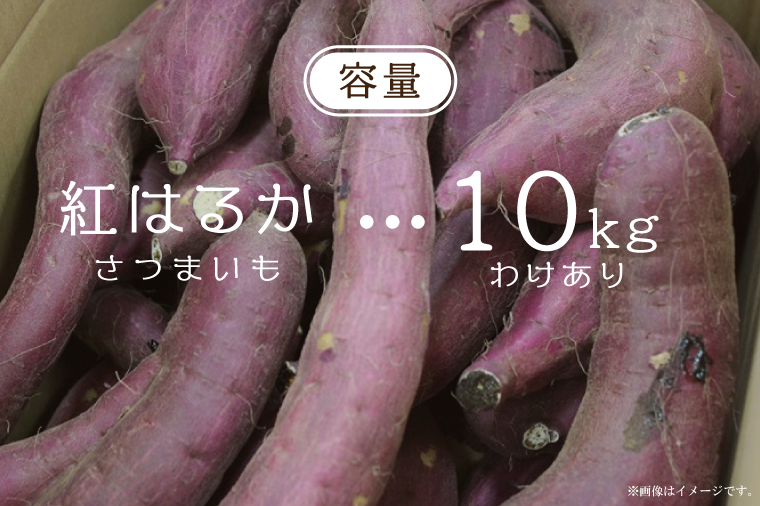 ★訳あり★【2025年9月より順次発送】農産物直売所「やさいの声」紅はるか 新芋 洗い 約10kg|訳ありさつまいも サツマイモ 紅はるか 洗い 行方市 ふるさと納税(EK-10)