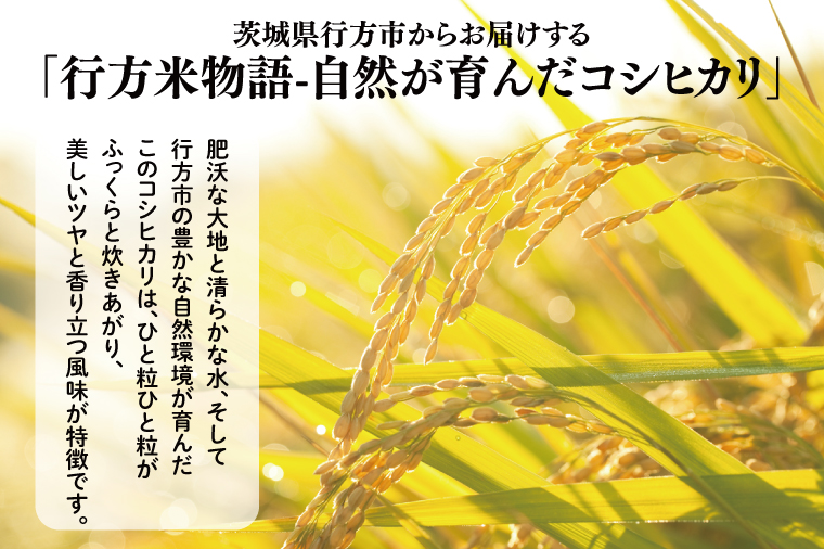 ～農産物直売所「やさいの声」厳選～「行方米物語 - 自然が育んだコシヒカリ３kg」｜米 お米 こめ コシヒカリ ご飯 白ご飯 令和7年産 R7年産 茨城県 行方市(EK-6-2)
