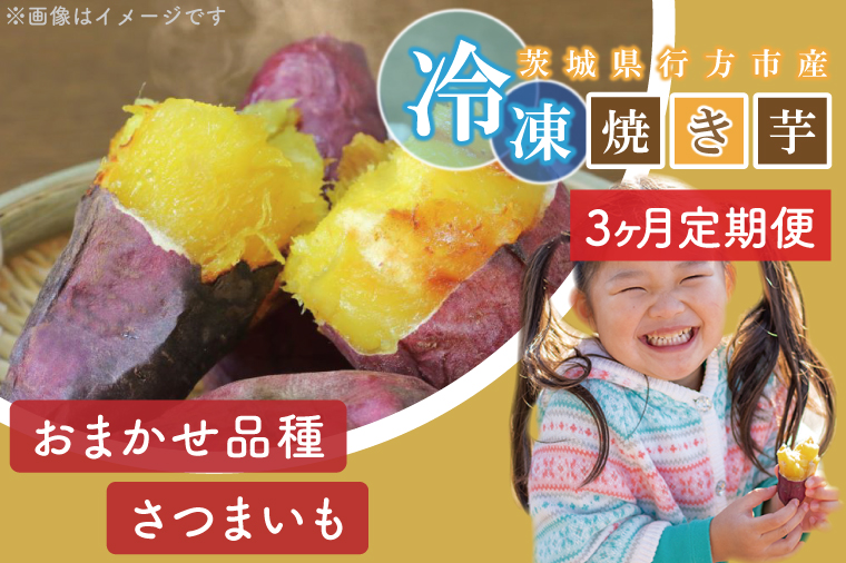 【3ヶ月定期便】★少し大きめサイズ★熟成紅はるか冷凍焼き芋約3.2kg＋おまかせ品種さつまいも 合計約3.5kg｜さつまいも サツマイモ さつま芋 焼き芋 やきいも 冷凍 冷凍焼き芋 紅はるか 定期便 茨城県 行方市(EY-12)