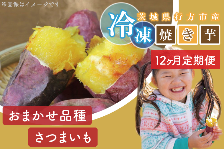 【12ヶ月定期便】★少し大きめサイズ★熟成紅はるか冷凍焼き芋約3.2kg＋おまかせ品種さつまいも 合計約3.5kg!（EY-24）