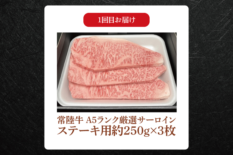 【常陸牛】肉の藤井商店（定期便）常陸牛グルメコース ～至福の3ヶ月～（茨城県共通返礼品）｜定期便 3か月 贅沢牛肉定期便 高級牛肉 贅沢牛肉 毎月お届け 最高級牛肉 ギフト定期便 豪華牛肉 A5 厳選 サーロイン モモステーキ ハンバーグ 高級ステーキ 特選ステーキ お中元 お歳暮 国産 牛肉 肉 お肉 最高級 ブランド牛 贈答 化粧箱 黒毛和牛 和牛 国産黒毛和牛 国産牛(FL-30)
