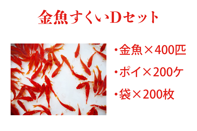 FR-4 金魚すくいセット（Dセット）: 行方市ANAのふるさと納税