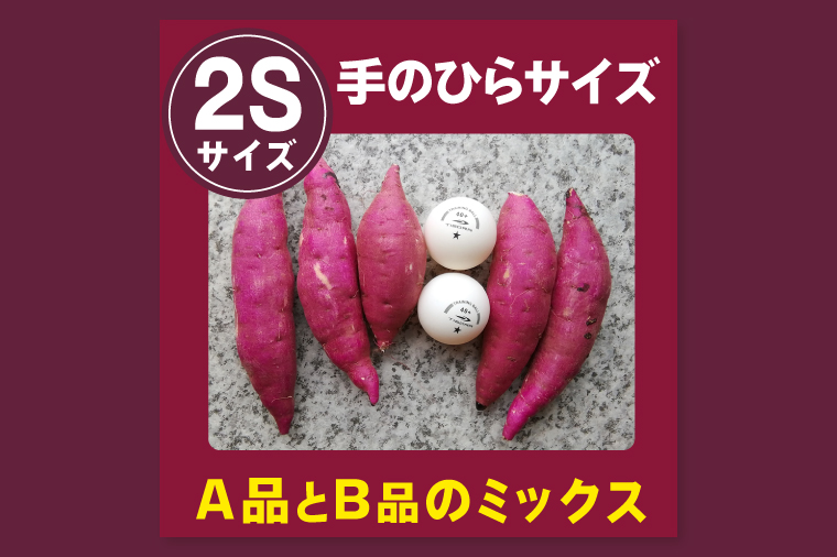 茨城県行方市特産紅はるか 2Sサイズ(A品・B品ミックス) 約10kg｜さつまいも サツマイモ お芋 紅はるか 特産品 茨城県 行方市(FU-5)
