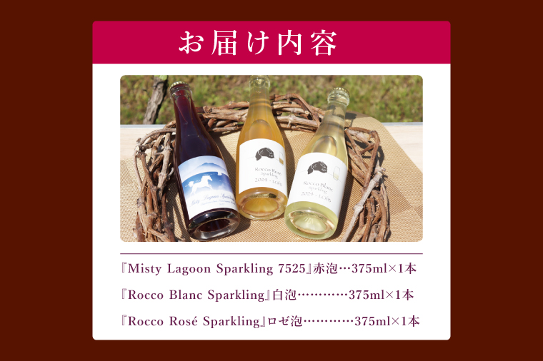 スパークリングワイン「泡3種セット」｜ワイン スパークリングワイン ボトルワイン 酒 お酒 酒類 ボトル ぶどう ブルーベリー ロゼ セット ワインセット 茨城県 行方市(GQ-6)