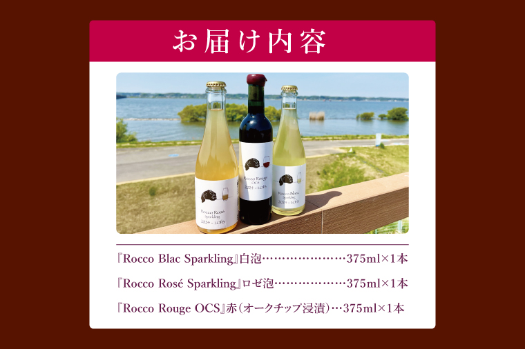 3種の2024ものハーフボトルセット～行方市内の自社畑ぶどう（2024年収穫）で醸造したワイン～｜ワイン  ボトルワイン 酒 お酒 酒類 赤ワイン スパークリングワイン ボトル ぶどう セット ワインセット 茨城県 行方市(GQ-8)