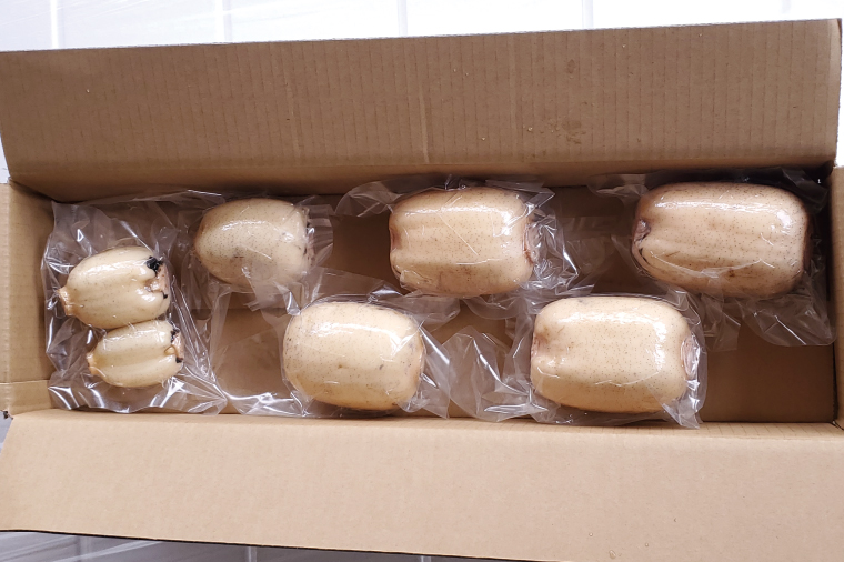 【2025年9月中旬より順次発送】【真空パック】【洗い】【食べ比べ】「横瀬農園のれんこん」（節切り小分け食べ比べ品）約2kg（4～5袋）｜ 農家直送 レンコン れんこん 茨城県産 野菜 根菜 行方市産  新鮮 栄養豊富 生産量 日本一(HB-4)