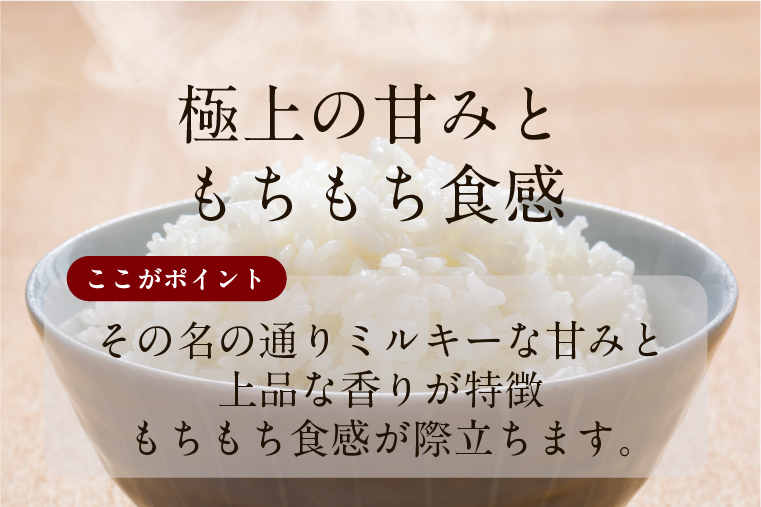★最短3営業日で発送★ミルキークイーン パックごはん 白米 18食入り 極上の甘みともちもち食感｜米 お米 こめ パックごはん パックご飯 ミルキークイーン 白米 ごはん 安心 国産 スピード発送 茨城県 行方市(HE-2-1)