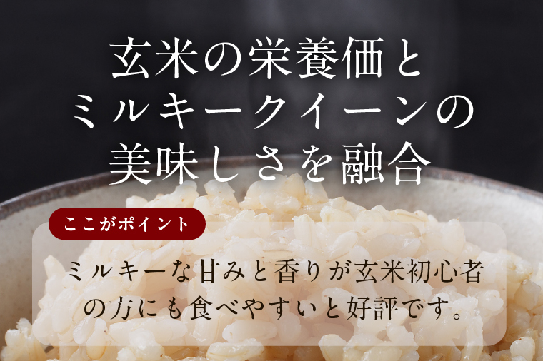 【2025年11月下旬より順次発送】★最短3営業日で発送★ミルキークイーン パックごはん 玄米 18食入り 甘み豊かもちぷち｜米 お米 こめ パックごはん パックご飯 ミルキークイーン 玄米 ごはん 安心 国産 スピード発送 茨城県 行方市(HE-3)