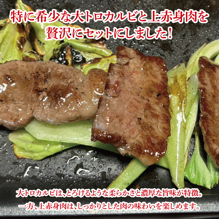 【数量限定】【最短7日発送】黒毛和牛 常陸牛 大トロカルビ(約100g) 上赤身肉(約100g)セット｜肉 牛肉 和牛 国産 茨城県産 すぐ 届く(HI-1)