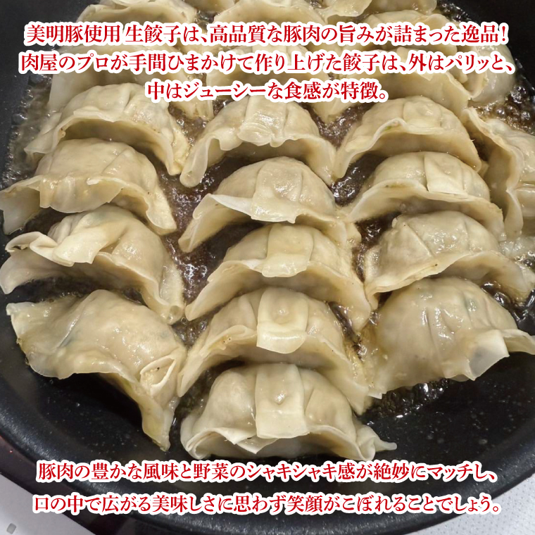 【数量限定】【最短7日発送】ブランド豚 肉屋が作る 美明豚 生餃子 24個入り×2パック 肉 豚肉  国産 茨城県産 すぐ 届く(HI-5)