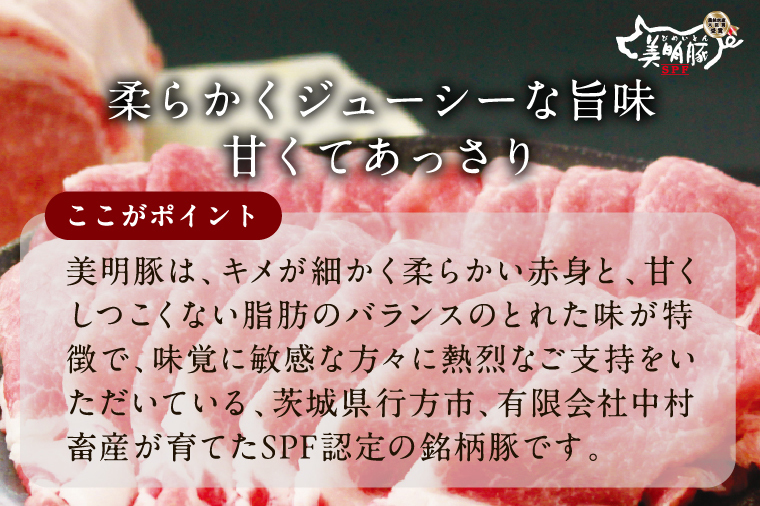 焼売 餃子 美明豚「びめいとん」のジューシー焼売と餃子のアソート｜シュウマイ 焼売 しゅうまい 餃子 ぎょうざ ギョウザ 美明豚 びめいとん 肉 肉加工品 豚肉 お肉 ジューシー 茨城県 行方市(HJ-3)