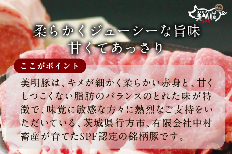 【2025年12月上旬より順次発送】美明豚「びめいとん」のジューシー餃子 1パック(30個入り)｜餃子 ぎょうざ ギョウザ 美明豚 びめいとん 数量限定 肉 肉加工品 豚肉 お肉 ジューシー  茨城県 行方市(HJ-5)