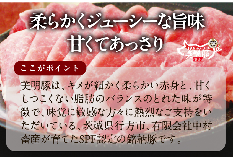 【2026年2月以降より順次発送】美明豚スープ餃子 1袋(博多豚骨スープ)｜餃子 ぎょうざ ギョウザ スープ餃子 美明豚 茨城県 行方市(HJ-8)