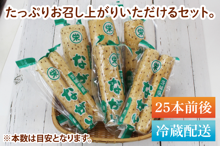 【2025年12月より順次発送】風間商店さんのながいも 約12kg(25本前後)｜ながいも いも 芋 長芋 野菜 やさい 人気 美容 健康 腸活 味噌汁 天ぷら 茨城県 行方市 行方市産(HO-3)