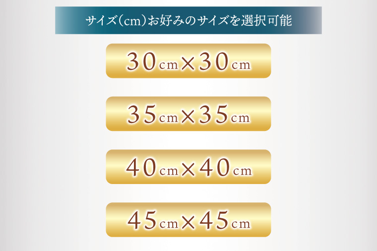 職人技　行方工場セミオーダークッションカバー 2枚｜カバー クッションカバー クッション オーダー セミオーダー 雑貨 インテリア 選べる 色 サイズ 職人技 茨城県 行方市(HQ-1)
