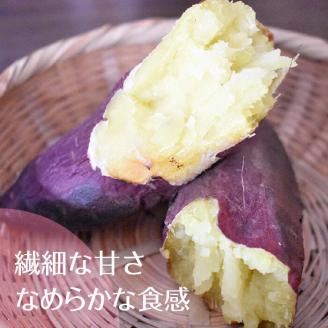 【2025年11月より順次発送】2025年度産 まるで絹のようななめらかなさつまいも シルクスイート 約5kg｜さつまいも 芋 お芋 シルクスイート 渋谷農園 先行予約 茨城県 行方市(BZ-19)