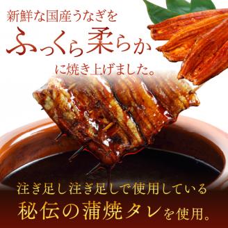 超特大！やわらか国内産うなぎ蒲焼220～250g 4尾　計880g以上|うなぎ 鰻 蒲焼 特大 茨城県 行方市(AD-93-1)