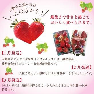 【2026年1月より順次発送】【3回定期便】【いちご食べ比べ】「いばらキッス」・「とちおとめ」・「やよいひめ」(4パック入×3回)JAなめがたしおさい直送便(AE-64)