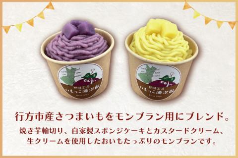 EI-1　2種モンブランセット