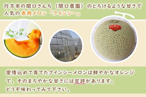 【2026年5月より順次発送】クインシーメロン 3～4玉｜メロン クインシーメロン フルーツ 果物 くだもの 先行予約 茨城県 行方市(BW-17-1)
