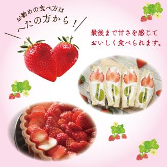 【2026年1月中旬より順次発送】JAなめがたしおさい直送「とちおとめ」2箱（8パック入）(AE-63)