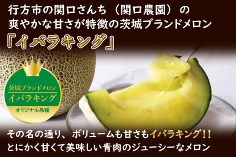 【2026年5月より順次発送】イバラキングメロン（2玉）｜メロン イバラキングメロン フルーツ 果物 くだもの 先行予約 茨城県 行方市(BW-20-1)