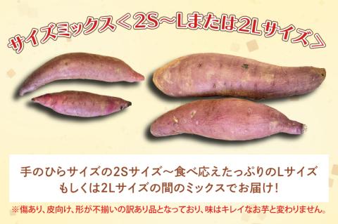 【2025年12月より順次発送】茨城県産 紅はるか 訳あり サイズミックス　約5kg｜訳あり わけあり 訳アリ さつまいも サツマイモ さつま芋 紅はるか べにはるか 芋 いも 茨城県産 行方市(FU-1)