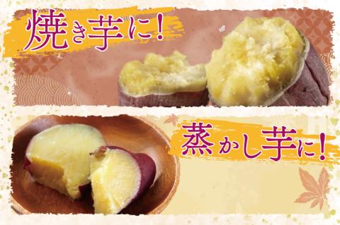 【2026年1月中旬より順次発送】野原さんちのシルクスイート 約5kg｜芋 さつまいも サツマイモ お芋 いも シルクスイート 期間限定 先行予約 茨城県 行方市(EL-3-1)