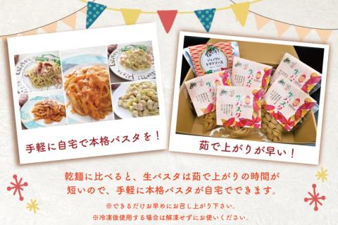 CJ-15 生パスタ （スパゲッティ10食分）