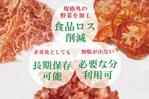 EP-1　乾燥野菜セット ニンジン40ｇ、トマト60ｇ