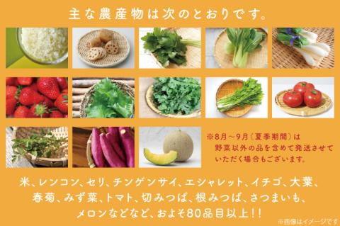 CU-128　【3ヶ月定期便】野菜王国なめがたの旬野菜の定期便