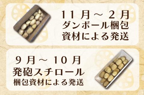 【2025年8月以降より順次発送】レンコン　約4kg｜茨城県 行方市 ふるさと納税 蓮根 レンコン(EG-1)