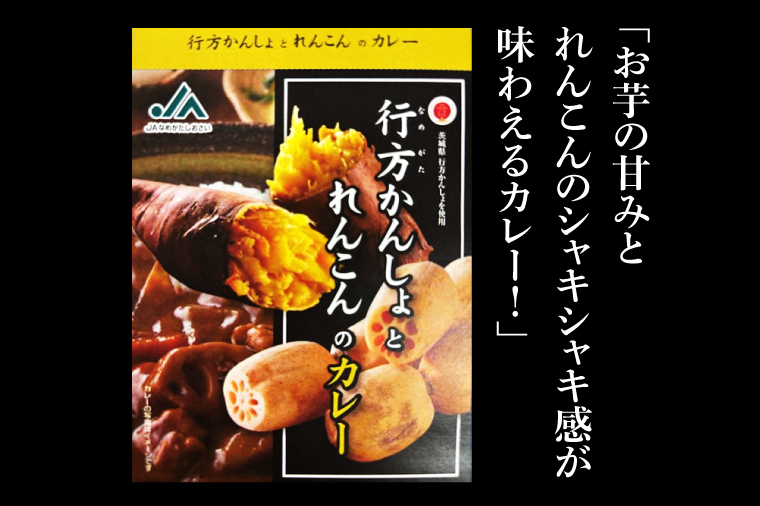 ～GI登録「さつまいも」使用～「行方かんしょとれんこんのカレー」＆「パックご飯」各3個セット｜カレー レトルト レトルトカレー パックご飯 ごはん レンジ コシヒカリ 非常食 ご当地 ご当地カレー 人気 オススメ 便利 特産品 地元特産品 茨城県 行方市(AE-146)