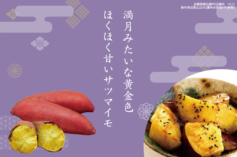 【2026年7月より順次発送】希少な新品種！７月限定「行方の黄福(栗かぐや)」さつまいも 約10kg｜さつまいも サツマイモ さつま芋 お芋 希少 新品種 栗かぐや 先行予約 茨城県 行方市(AE-89)