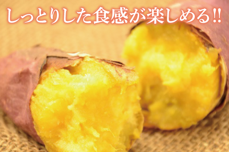 【2025年11月下旬より順次発送】【訳あり】行方かんしょ「紅優甘」さつまいも約10kg(洗い・不揃い)｜さつまいも サツマイモ さつま芋 お芋 紅優甘 行方かんしょ 訳あり わけあり 訳アリ 茨城県 行方市(AE-95)