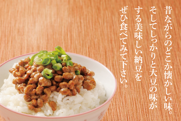 【3ヶ月定期便】水戸納豆 小粒 12個(1箱6個入り×2)｜納豆 水戸納豆 定期便 小粒 小粒納豆 茨城県 行方市(BD-3)