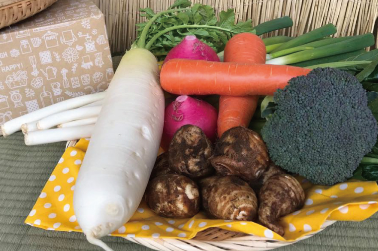 【10ヶ月定期便】★毎月下旬発送★身体が喜ぶ季節の野菜 10～12品目｜野菜 やさい 野菜セット セット 詰め合わせ おまかせ 定期便 野菜定期便 茨城県 行方市(BI-111)