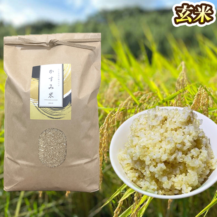 【2026年9月下旬より順次発送】★新米★R8年産 かすみ米 5kg(白米または玄米)【茨城県共通返礼品/潮来市】｜米 お米 新米 こめ かすみ米 5kg 白米 玄米 共通返礼品 茨城県共通返礼品 数量限定 先行予約 人気 送料無料(BI-88)