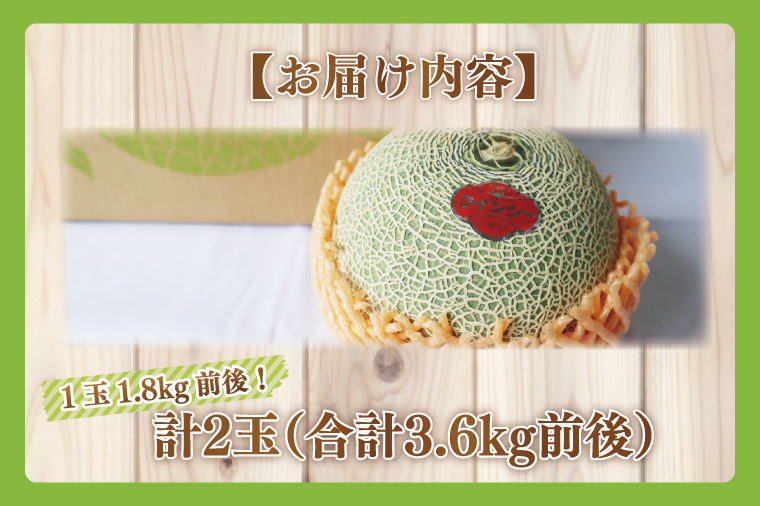 【2026年5月より順次発送】特大玉クインシーメロン(2玉)｜メロン クインシーメロン フルーツ 特大 果物 くだもの 先行予約 茨城県 行方市(BW-26)