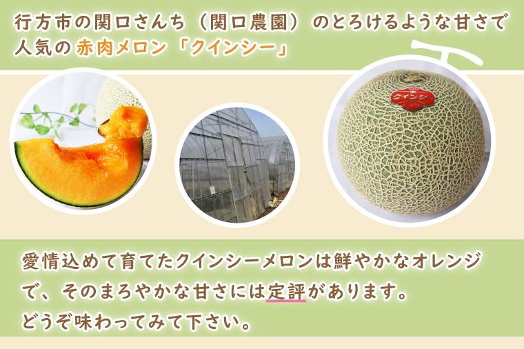 【2026年5月より順次発送】クインシーメロン 1玉(1.5kg以上)｜メロン クインシーメロン フルーツ 果物 くだもの 先行予約 茨城県 行方市(BW-28)