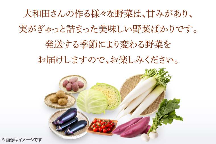 CN-14　【12ヶ月定期便】夢見るじっちが作る季節の野菜セット　6～10種類入り1箱
