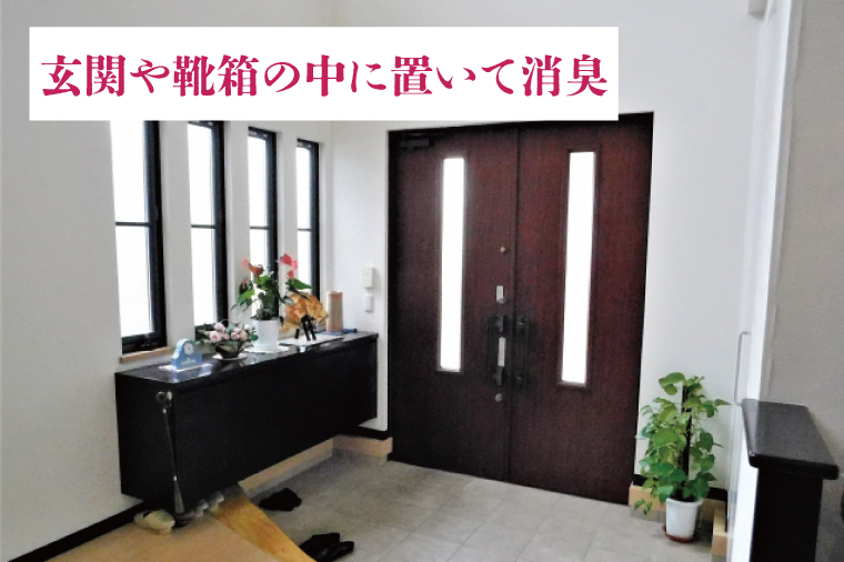 CP-8　行方の竹で作りました。竹炭100g+50g（各竹筒入り）