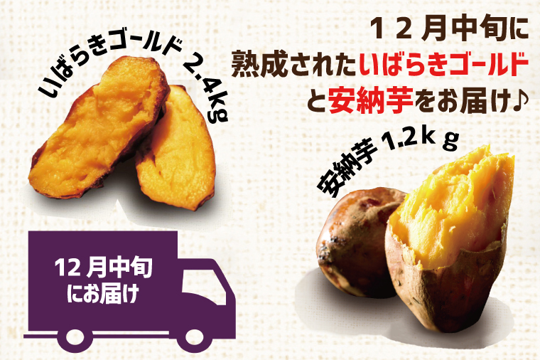 【早割B2プラン】2026年度おいも株オーナー制度 1口｜さつまいも 芋 サツマイモ お芋 おいも株 株 オーナー いばらきゴールド 安納芋 らぽっぽファーム 体験 農園 茨城県 行方市(CQ-27-1)