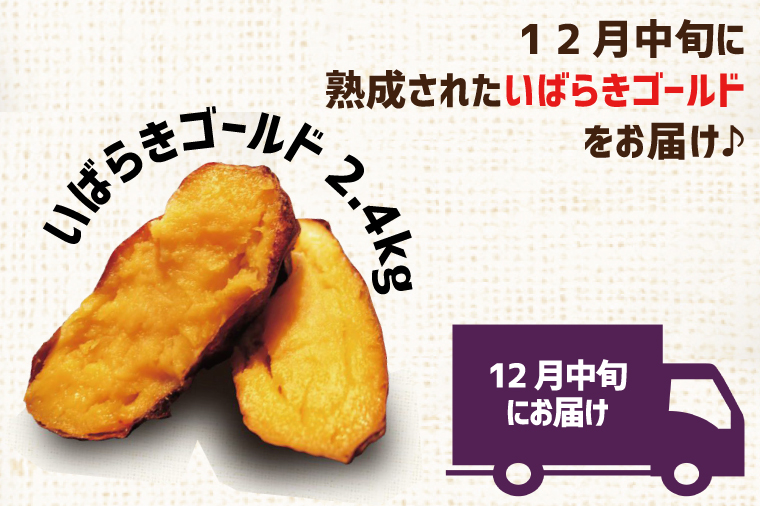【早割B1プラン】2026年度おいも株オーナー制度 1口｜さつまいも 芋 サツマイモ お芋 おいも株 株 オーナー いばらきゴールド 米 お米 らぽっぽファーム 体験 農園 茨城県 行方市(CQ-6-1)