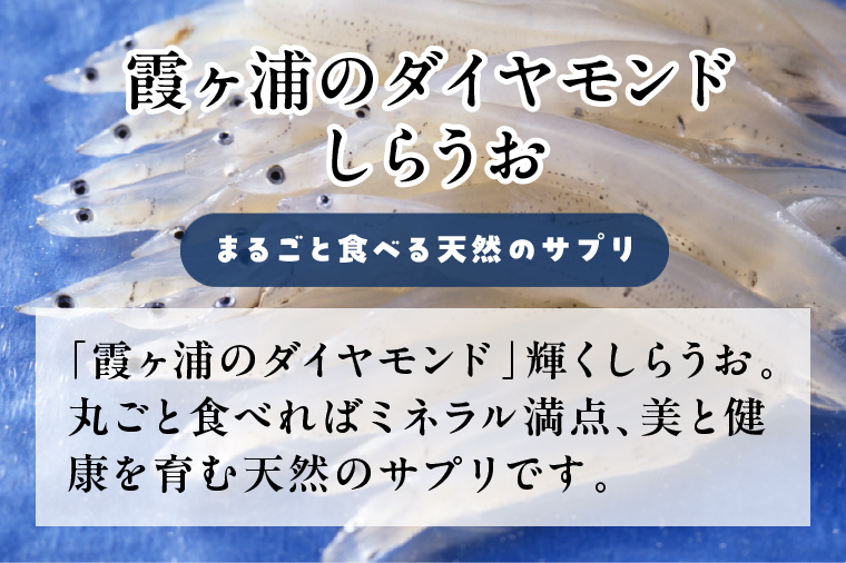 【2026年2月下旬より順次発送】カルシウム しらうおせんべい 3個｜せんべい 煎餅 おやつ しらうお カルシウム タンパク質 ミネラル 煮干し 茨城県 行方市(CU-342)