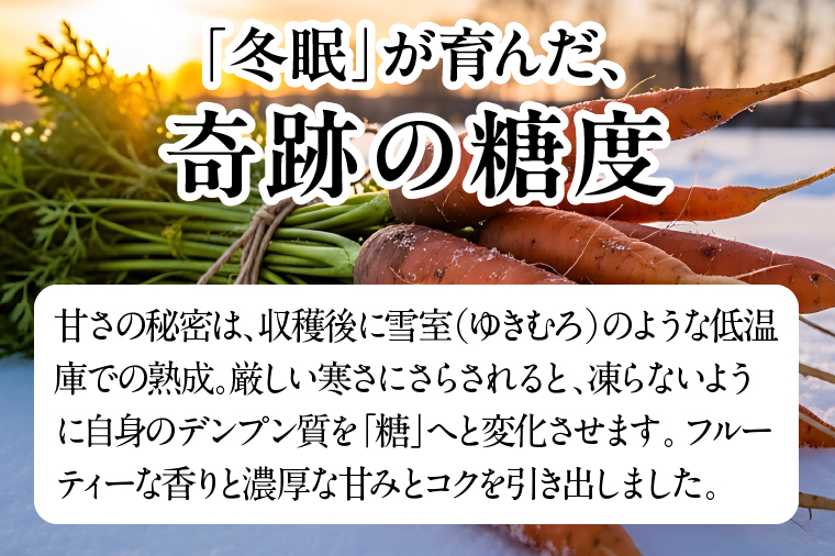 行方市産アロマレッド使用 人参ジュース 3本｜にんじん ニンジン ニンジンジュース にんじんジュース 野菜 やさい 人参 アロマレッド スピード発送 茨城県 行方市(CU-343)