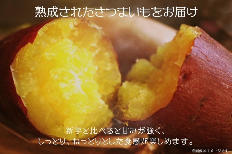 ★訳あり★【2026年1月より順次発送】【訳あり】農産物直売所「やさいの声」熟成紅はるか　洗い　約10kg|さつまいも サツマイモ 紅はるか 熟成 洗い 行方市 ふるさと納税(EK-13)